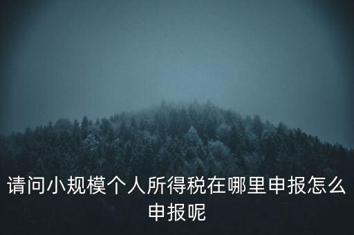 如何申報自然人兩處所得，請問小規(guī)模個人所得稅在哪里申報怎么申報呢