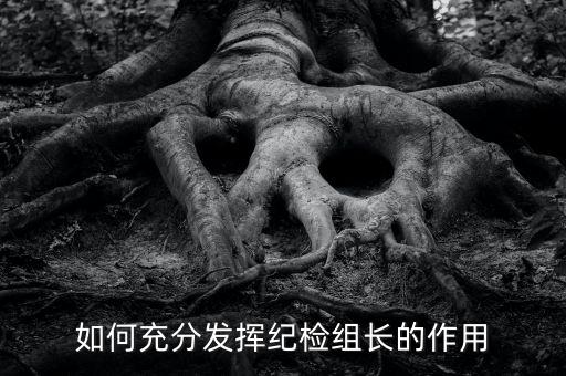 稅務局如何貫徹落實紀檢組長的講話，如何充分發(fā)揮紀檢組長的作用