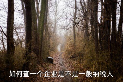 如何查是否一般納稅人，怎么確認(rèn)一家單位是不是一般納稅人