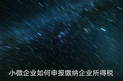 小企業(yè)如何繳納所得稅，小規(guī)模企業(yè)所得稅怎么交納