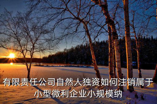 如何注銷小微企業(yè)所得稅，小微企業(yè)工商稅務(wù)注銷手續(xù)
