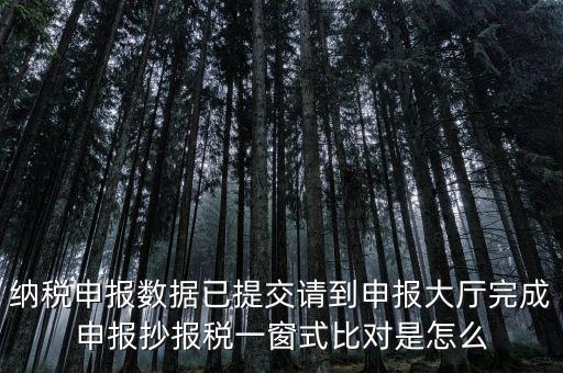 納稅申報(bào)數(shù)據(jù)已提交請到申報(bào)大廳完成申報(bào)抄報(bào)稅一窗式比對(duì)是怎么