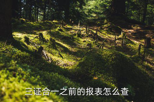 如何查三證合一之前的國稅數(shù)據(jù)，三證合一之前的報表怎么查