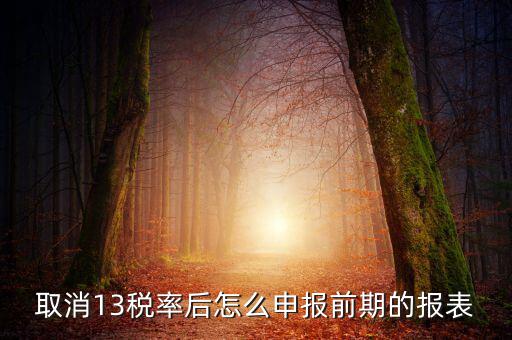 取消13稅率申報表如何填，13的稅率沒了納稅申報以后怎么辦