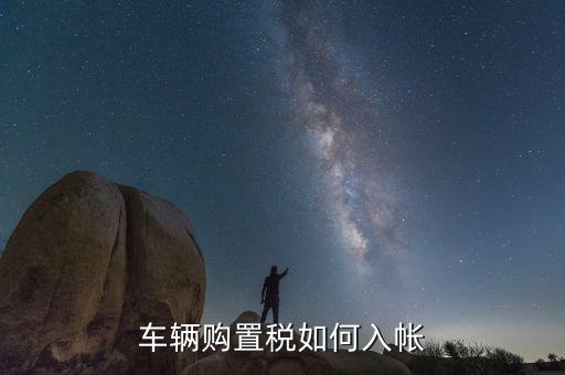車購稅如何入賬，車輛購置稅如何入帳