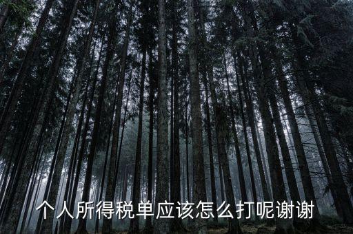 如何打印個人所得稅清單，請問如何打印個人個人所得稅繳款單據(jù)