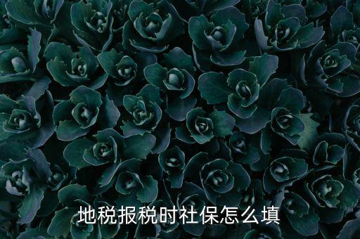 地稅報(bào)稅時社保怎么填