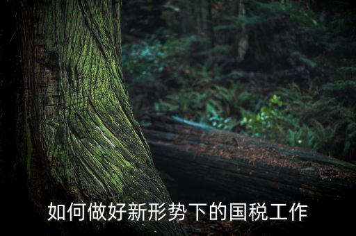 如何貫徹國稅工作會議上的講話，如何貫徹落實(shí)國稅系統(tǒng)化政府采購工作規(guī)范