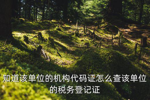 如何查企業(yè)稅務(wù)登記證號(hào)，公司的稅務(wù)登記證號(hào)怎么查詢
