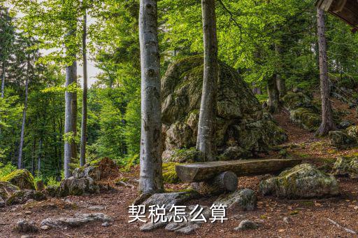 企業(yè)合并契稅如何計(jì)算，求高手解答如何計(jì)算企業(yè)應(yīng)繳納契稅并進(jìn)行契稅的會(huì)計(jì)處理