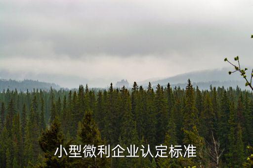 如何確定是小微企業(yè)，小型微利企業(yè)認(rèn)定標(biāo)準(zhǔn)