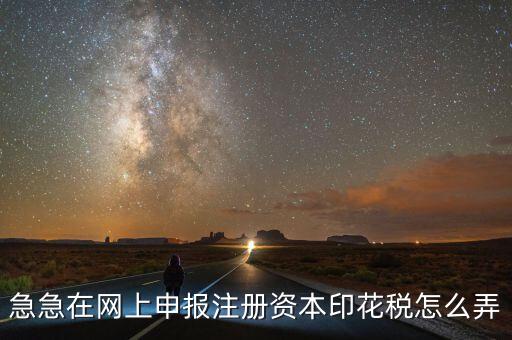 急急在網上申報注冊資本印花稅怎么弄