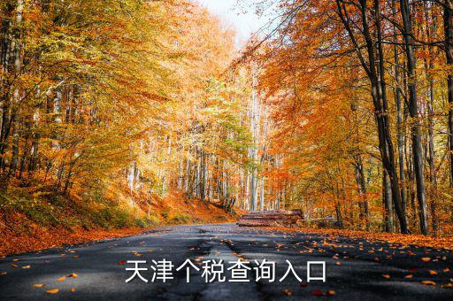 天津個(gè)稅如何查詢密碼，天津個(gè)稅查詢?nèi)肟?/></a></span><span id=