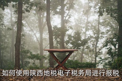 電子稅務(wù)局如何操作，如何使用陜西地稅電子稅務(wù)局進行報稅