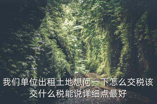 土地出租如何征稅，我們單位出租土地想問一下怎么交稅該交什么稅能說詳細(xì)點最好