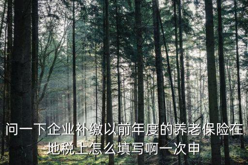 如何補(bǔ)打地稅社會(huì)保險(xiǎn)費(fèi)申報(bào)表，在網(wǎng)上交完社保后要怎樣補(bǔ)打社會(huì)保險(xiǎn)費(fèi)申報(bào)表