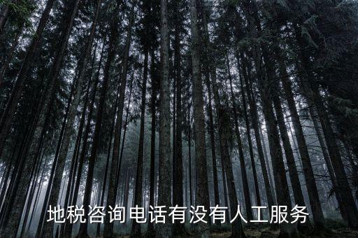 北京12366如何轉(zhuǎn)人工，我有關(guān)于北京稅務(wù)的問題因?yàn)楹軓?fù)雜你們有沒有電話可以直接溝通