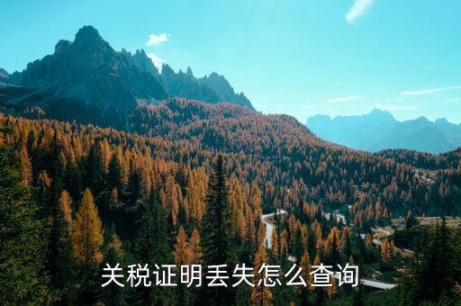 如何查納稅證明，個(gè)人的納稅證明網(wǎng)上能查嗎