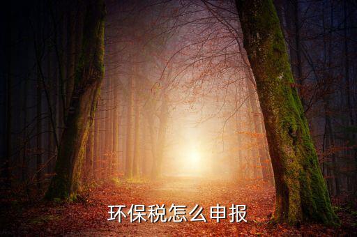 環(huán)境保護(hù)稅b類如何申報(bào)表，環(huán)保稅申報(bào)步驟是什么