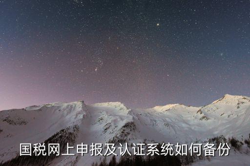 稅友申報(bào)軟件如何備份，國(guó)稅網(wǎng)上申報(bào)及認(rèn)證系統(tǒng)如何備份