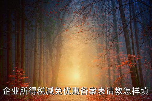 企業(yè)所得優(yōu)惠備案如何，企業(yè)所得稅減免優(yōu)惠備案表請教怎樣填