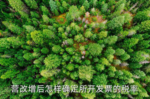 開票時(shí)稅率如何確認(rèn)，發(fā)票的稅是怎么算的是不是數(shù)額越大要繳稅的百分比就越大比