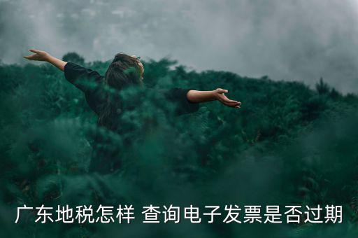 如何查詢電子發(fā)票是否有效，廣東地稅怎樣 查詢電子發(fā)票是否過期