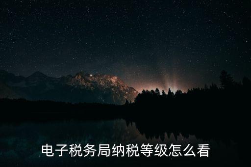 a級納稅人如何查詢，電子稅務(wù)局納稅等級怎么看