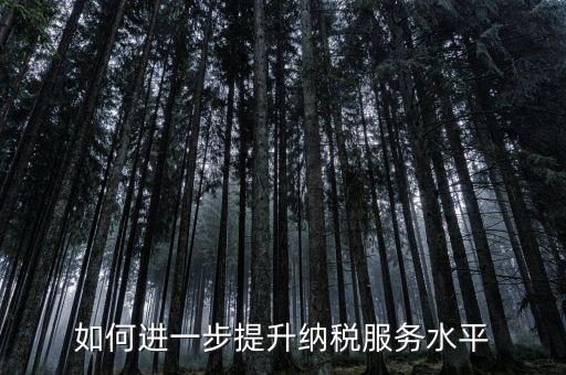 如何進一步提升納稅服務水平