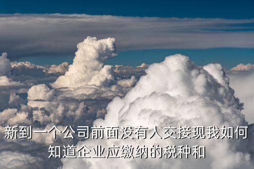 企業(yè)稅目如何查詢，稅局怎么知道我開出的增值稅發(fā)票的稅目是多少