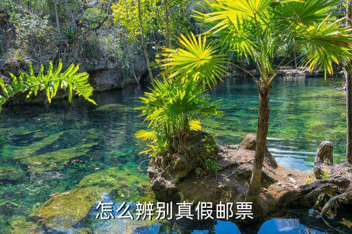 如何查油票的真?zhèn)?，到底怎樣才能辨別鑒定郵票的真假呢