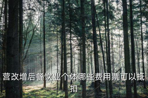 餐飲業(yè)如何抵扣，餐飲業(yè)無法向個人消費者開具增值稅專用發(fā)票那怎么抵扣進項稅