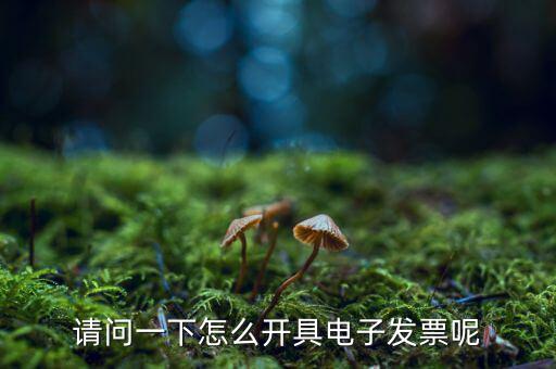 上海如何申領電子發(fā)票，請問一下怎么開具電子發(fā)票呢