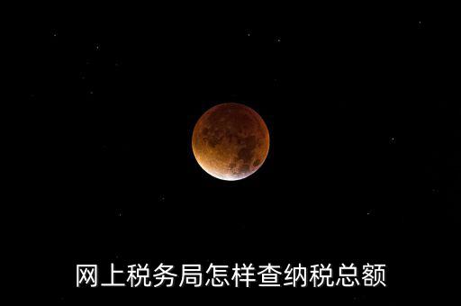 國稅局如何查稅，網(wǎng)上稅務(wù)局怎樣查納稅總額