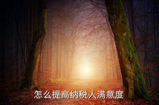 如何提升納稅人獲得感，怎么提高納稅人滿意度