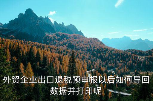 出口退免稅備案如何打印，外貿(mào)企業(yè)出口退稅預(yù)申報以后如何導(dǎo)回數(shù)據(jù)并打印呢