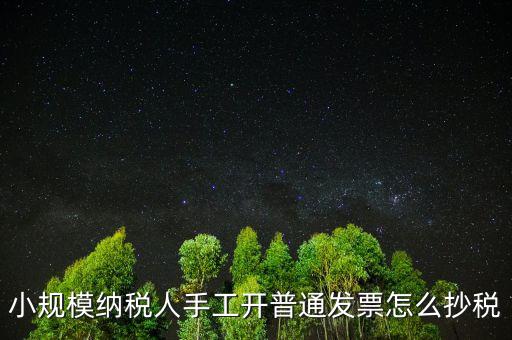 小規(guī)模納稅人開票系統(tǒng)如何抄報(bào)稅，小規(guī)模稅款控盤如何抄報(bào)稅