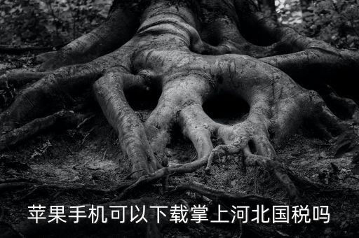 河北掌上國稅如何注冊(cè)，蘋果手機(jī)可以下載掌上河北國稅嗎