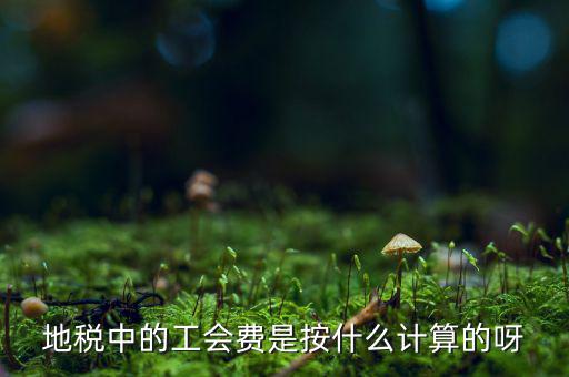 交地稅時(shí)的工會(huì)經(jīng)費(fèi)如何計(jì)算方法，地稅中的工會(huì)費(fèi)是按什么計(jì)算的呀
