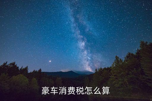 豪車(chē)消費(fèi)稅怎么算