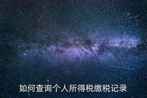 上海地稅局如何查個人所得稅繳稅記錄，上海市工資個稅繳納記錄如何查詢