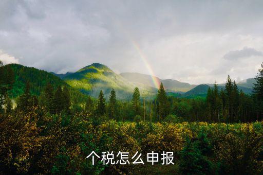 個稅怎么申報(bào)