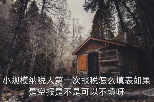 如何填寫首次辦稅補(bǔ)充信息表，稅務(wù)登記補(bǔ)充信息采集表怎么填 誰知道啊
