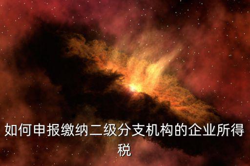 分支機(jī)構(gòu)企業(yè)所得稅如何申報(bào)，如何申報(bào)繳納二級(jí)分支機(jī)構(gòu)的企業(yè)所得稅
