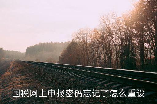 網(wǎng)上稅務(wù)局登錄密碼如何重置，國稅網(wǎng)上申報密碼忘記了怎么重設(shè)