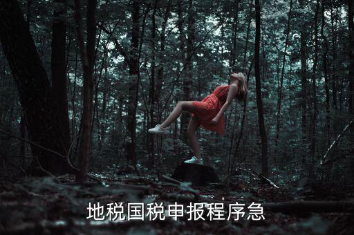 國稅地稅如何辦理流程，我想知道申報國稅地稅的流程包括前期需要什么資料期間如何