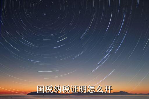 國(guó)稅納稅證明怎么開