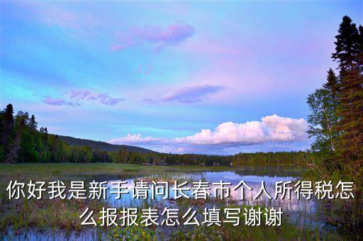 長春國稅如何報稅，長春市地稅申報