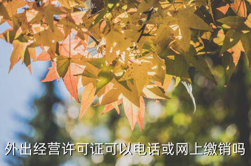 浙江網(wǎng)上如何繳銷省內(nèi)外經(jīng)證，外經(jīng)證遺失了但是現(xiàn)在要辦理繳銷怎么辦