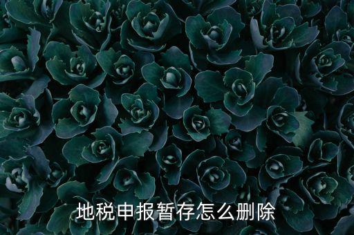 地稅的附加稅如何刪除申報(bào)記錄，地稅報(bào)表報(bào)錯(cuò)怎樣刪除